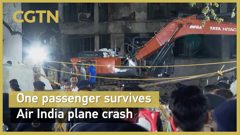 Air_India_Dreamliner_Crash_in_Ahmedabad__265__Lives_Lost video poster