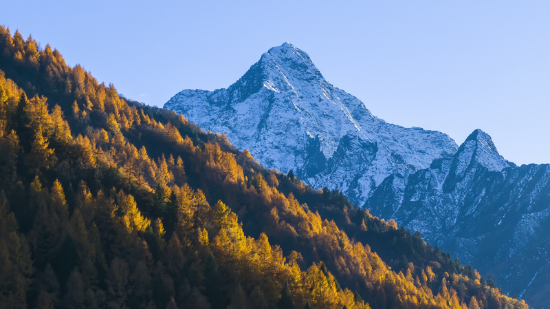 Alpine_Grasslands__Hidden_Carbon_Champions_on_Qinghai_Tibet_Plateau