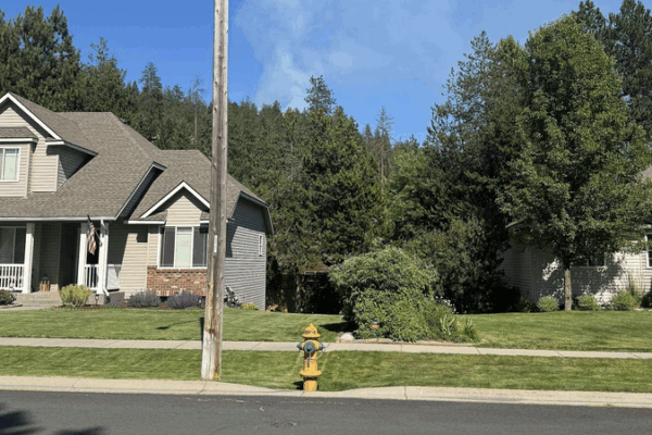 Ambush in Idaho: Firefighters Under Fire Ambush_in_Idaho__Firefighters_Under_Fire