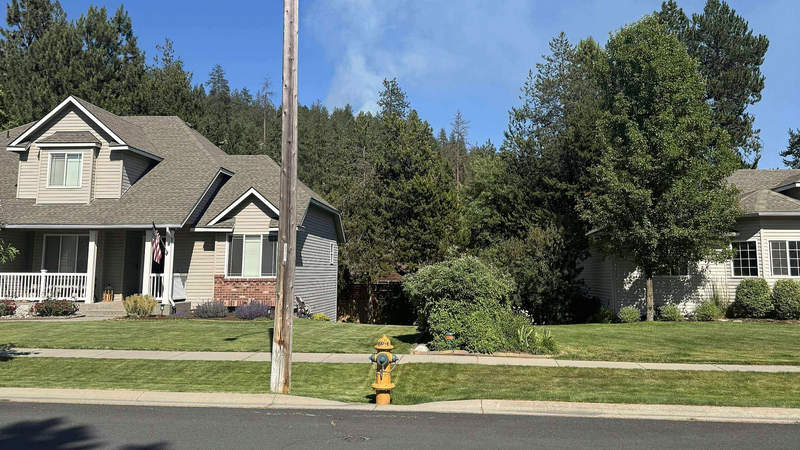 Ambush_in_Idaho__Firefighters_Under_Fire