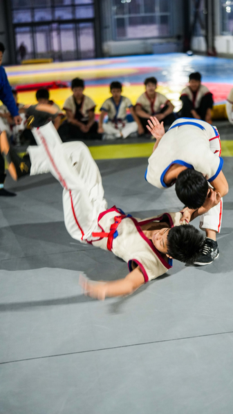 Ancient Chinese Wrestling: 3000-Year Legacy of Leverage Ancient_Chinese_Wrestling__3000_Year_Legacy_of_Leverage video poster