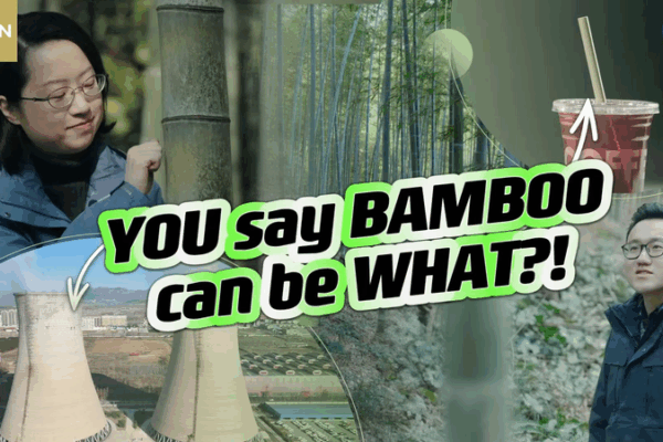 Bamboo Beats Plastic: Chinese Eco Innovation with Global Value Bamboo_Beats_Plastic__Chinese_Eco_Innovation_with_Global_Value video poster
