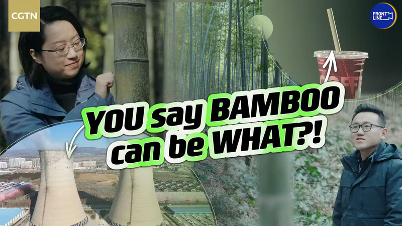 Bamboo_Beats_Plastic__Chinese_Eco_Innovation_with_Global_Value_poster - Namaste Headlines Bamboo_Beats_Plastic__Chinese_Eco_Innovation_with_Global_Value video poster