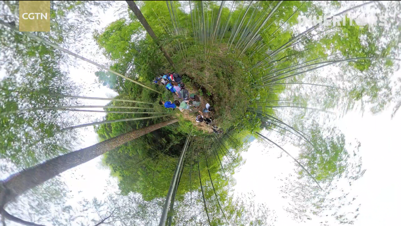 Bamboo_Powered_Run__Nature_Takes_You_for_a_Spin__poster - Namaste Headlines Bamboo_Powered_Run__Nature_Takes_You_for_a_Spin_ video poster