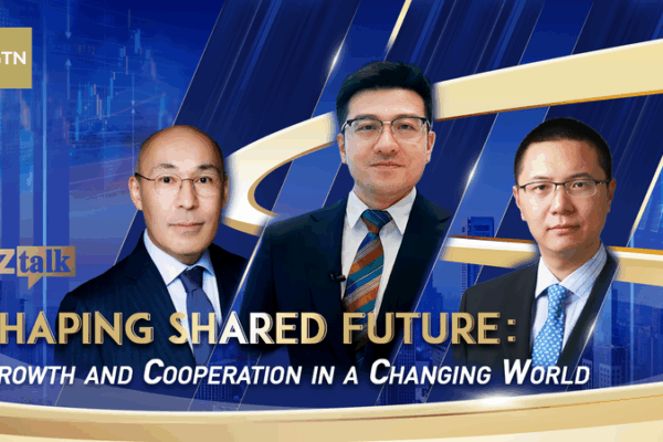 BizTalk__Shaping_a_Shared_Future video poster