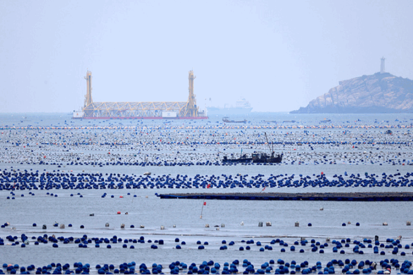 Blue Carbon: The Ocean’s Secret Climate Champion Blue_Carbon__The_Ocean_s_Secret_Climate_Champion