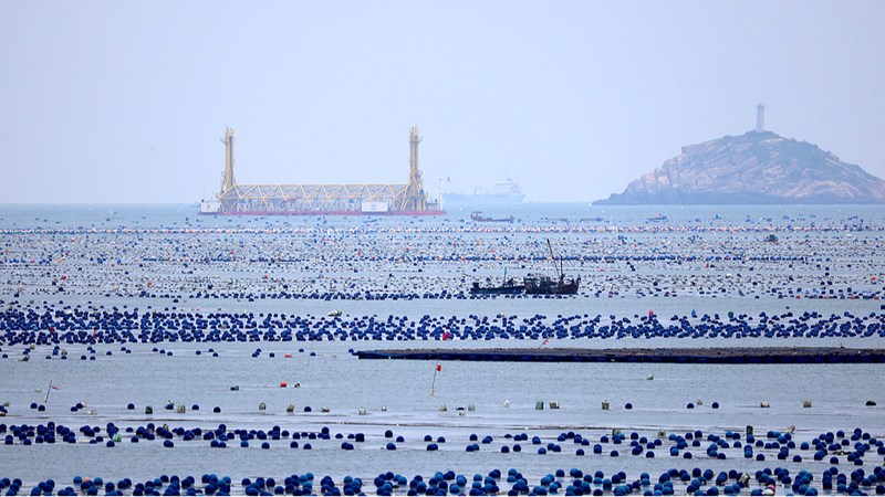 Blue_Carbon__The_Ocean_s_Secret_Climate_Champion - Namaste Headlines Blue_Carbon__The_Ocean_s_Secret_Climate_Champion