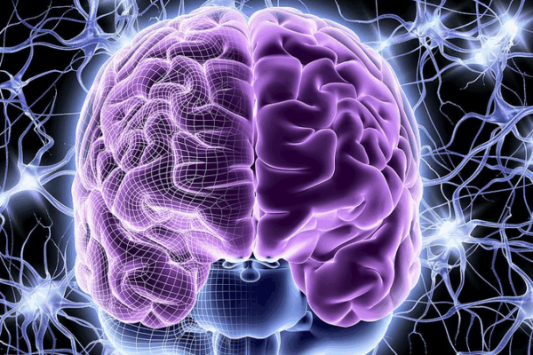 Breakthrough Cocktail Hydrogel Promises Brain Recovery Breakthrough_Cocktail_Hydrogel_Promises_Brain_Recovery