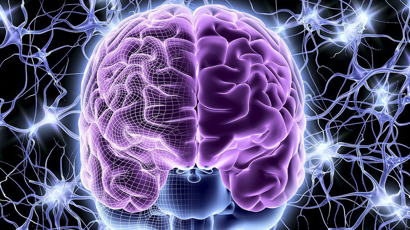 Breakthrough_Cocktail_Hydrogel_Promises_Brain_Recovery - Namaste Headlines Breakthrough_Cocktail_Hydrogel_Promises_Brain_Recovery