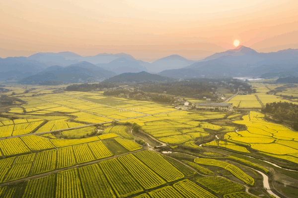 Changsha Hosts Cultural & Natural Heritage Day 2025! Changsha_Hosts_Cultural___Natural_Heritage_Day_2025_