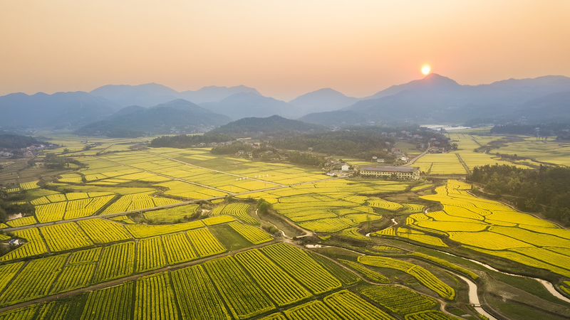 Changsha_Hosts_Cultural___Natural_Heritage_Day_2025_