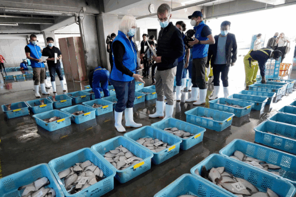 China Conditionally Resumes Japanese Aquatic Imports China_Conditionally_Resumes_Japanese_Aquatic_Imports