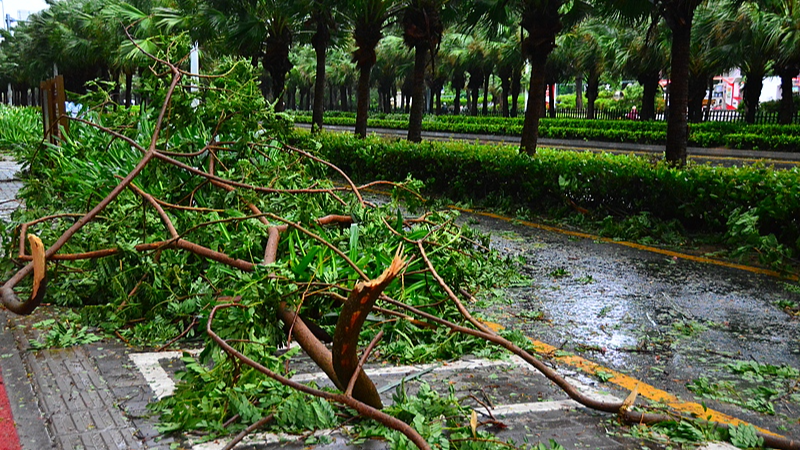 China Ramps Up Alert for Typhoon Wutip in Southern Regions China_Ramps_Up_Alert_for_Typhoon_Wutip_in_Southern_Regions