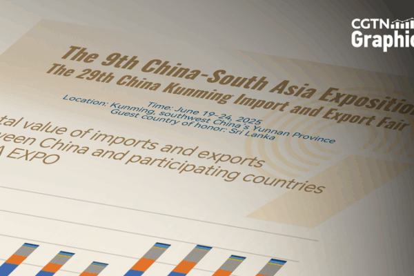 China-South Asia Trade Hits $200 Billion Milestone China_South_Asia_Trade_Hits__200_Billion_Milestone