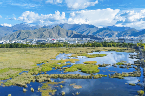 China’s Xizang Shines with Eco Excellence in 2024 China_s_Xizang_Shines_with_Eco_Excellence_in_2024