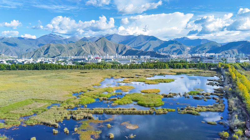China_s_Xizang_Shines_with_Eco_Excellence_in_2024 - Namaste Headlines China_s_Xizang_Shines_with_Eco_Excellence_in_2024