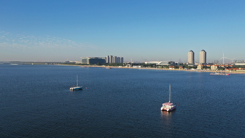 DFTP’s 1,000-Vessel Milestone Sets Sail in Shipping! DFTP_s_1_000_Vessel_Milestone_Sets_Sail_in_Shipping_