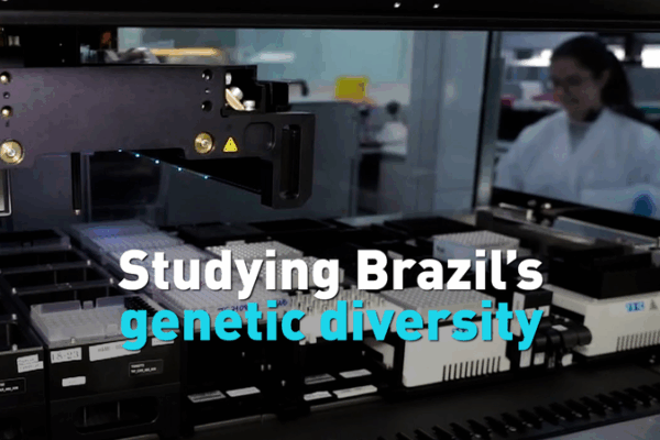 DNA Secrets: Brazil’s Rich Diversity Uncovered DNA_Secrets__Brazil_s_Rich_Diversity_Uncovered video poster