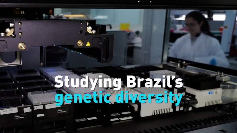 DNA_Secrets__Brazil_s_Rich_Diversity_Uncovered_poster - Namaste Headlines DNA_Secrets__Brazil_s_Rich_Diversity_Uncovered video poster