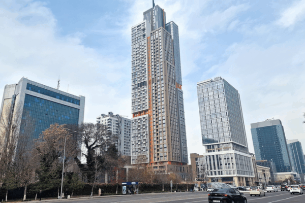 Digital Leap: Central Asia’s Latecomer Advantage Digital_Leap__Central_Asia_s_Latecomer_Advantage