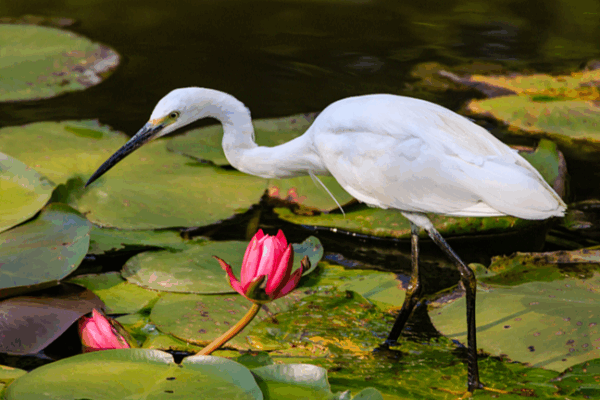 Discover Daguan Park: Kunming’s Nature & Heritage Gem Discover_Daguan_Park__Kunming_s_Nature___Heritage_Gem
