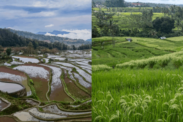 Discover Timeless Irrigation Marvels: Honghe Terraces & Bali Subak Discover_Timeless_Irrigation_Marvels__Honghe_Terraces___Bali_Subak