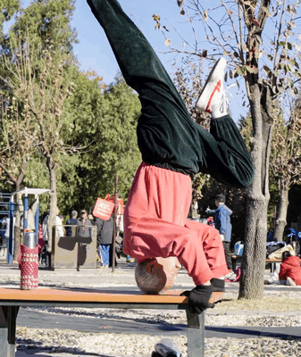 Everyday Kung Fu: Life in Motion Everyday_Kung_Fu__Life_in_Motion video poster