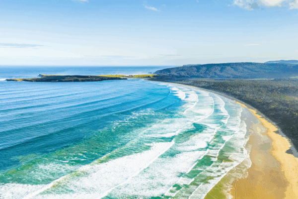 Explore NZ: Streamlined Entry Reveals The Catlins Wonders Explore_NZ__Streamlined_Entry_Reveals_The_Catlins_Wonders