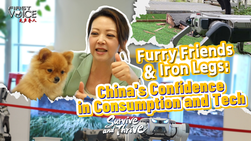 Furry_Friends___Iron_Legs__Chinese_Mainland_s_Tech___Consumption_Boom video poster