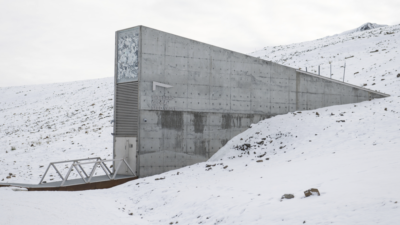 Global_Gene_Banks_Boost_Svalbard_Vault_With_Over_11K_Seeds