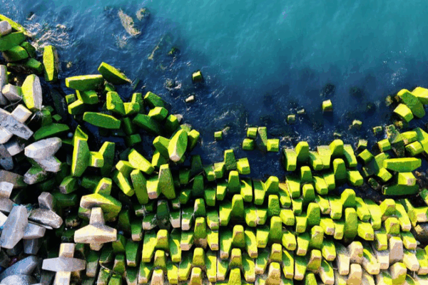 Green Algae Transforms Qingdao’s Breakwater Green_Algae_Transforms_Qingdao_s_Breakwater