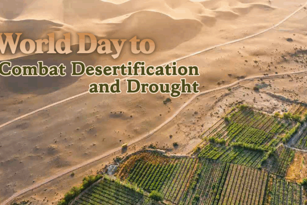 Green Opportunities: Land Restoration Fuels a Bright Future Green_Opportunities__Land_Restoration_Fuels_a_Bright_Future