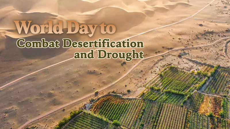 Green_Opportunities__Land_Restoration_Fuels_a_Bright_Future