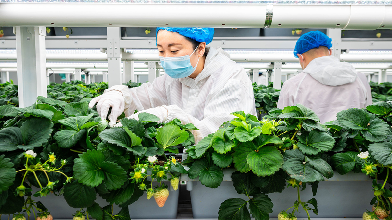 Green_Transformation_Fuels_Future_Growth - Namaste Headlines Green_Transformation_Fuels_Future_Growth
