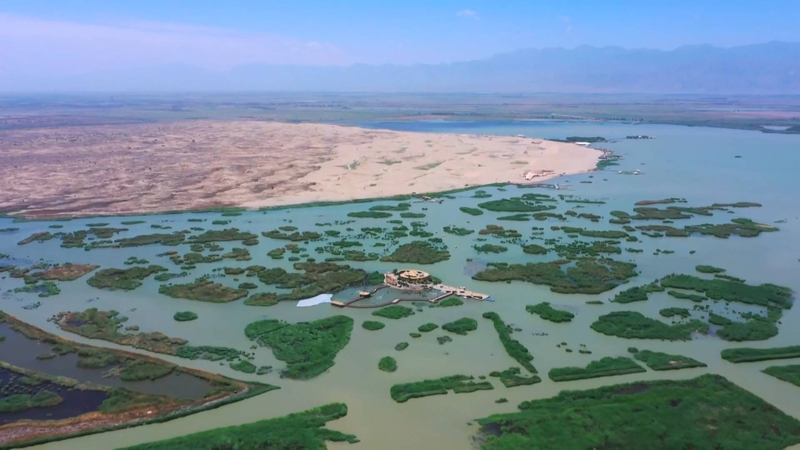 Greening the Tengger Desert: Solar Power & Sustainable Change Greening_the_Tengger_Desert__Solar_Power___Sustainable_Change video poster