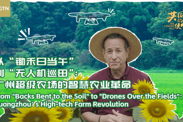 Guangzhou High-Tech Farm Revolution: Smart Tech Meets Green Growth Guangzhou_High_Tech_Farm_Revolution__Smart_Tech_Meets_Green_Growth video poster