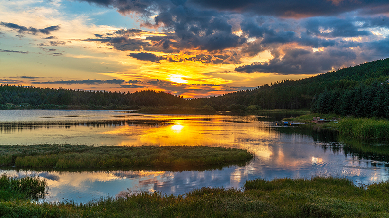 Desert Revival: China’s Green Innovations Transform Arid Lands