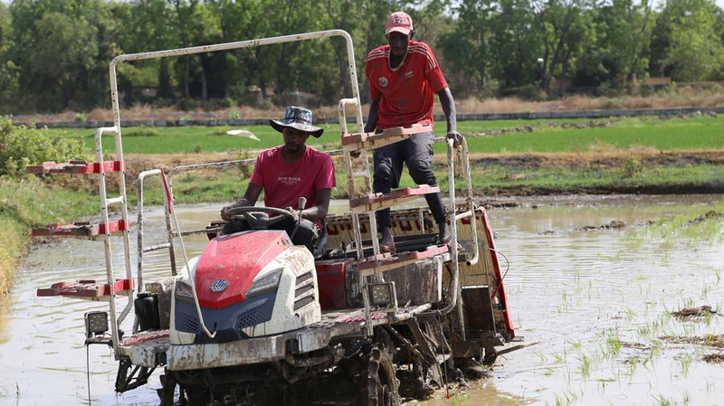 Hybrid_Rice_Miracle__Wang_Yi_Champions_China_Africa_Success - Namaste Headlines Hybrid_Rice_Miracle__Wang_Yi_Champions_China_Africa_Success