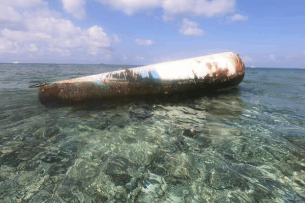 Inside__Food_Delivery__Fresh_from_the_South_China_Sea___National_Pride_vs__Nature