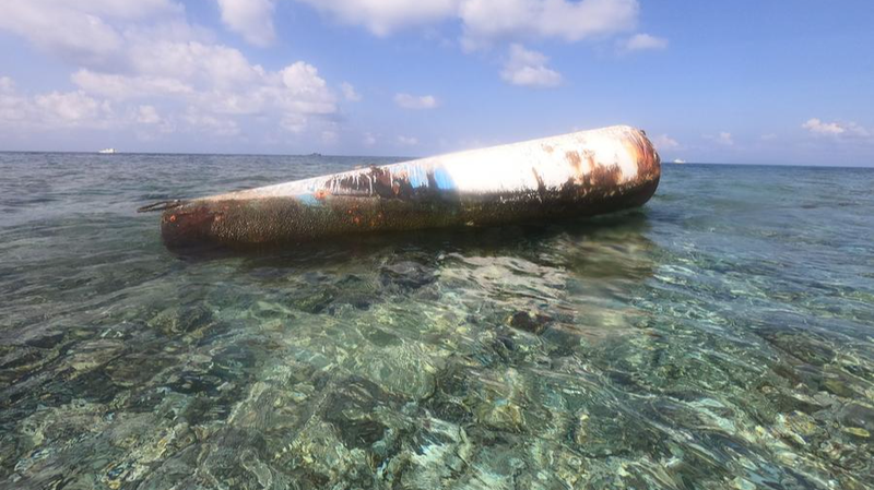 Inside__Food_Delivery__Fresh_from_the_South_China_Sea___National_Pride_vs__Nature