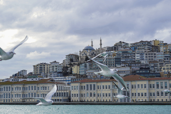 Istanbul Peace Talks: Round 2 for Russia & Ukraine Istanbul_Peace_Talks__Round_2_for_Russia___Ukraine video poster