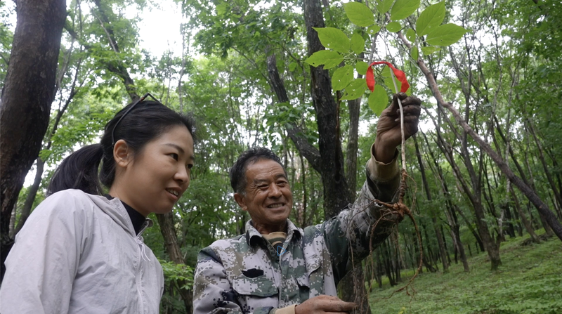 Ji’an Reinvents Rural Economy: A Model for Sustainable Growth Ji_an_Reinvents_Rural_Economy__A_Model_for_Sustainable_Growth video poster