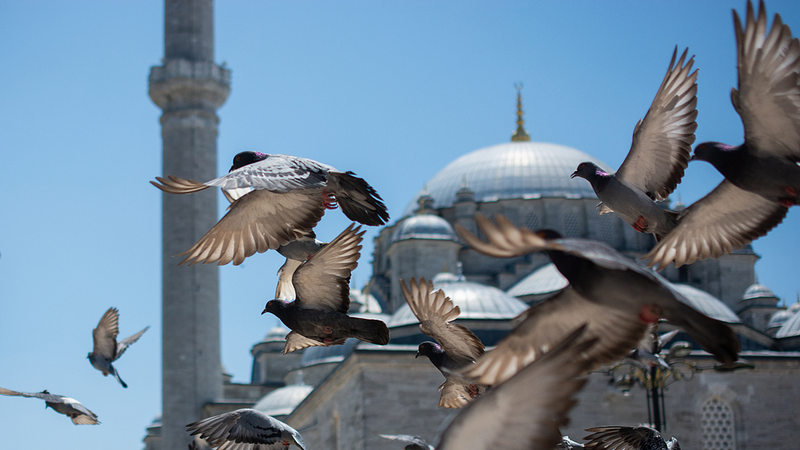 Live__Exterior_View_as_Ukraine_Russia_Peace_Talks_Near_poster - Namaste Headlines Live__Exterior_View_as_Ukraine_Russia_Peace_Talks_Near video poster