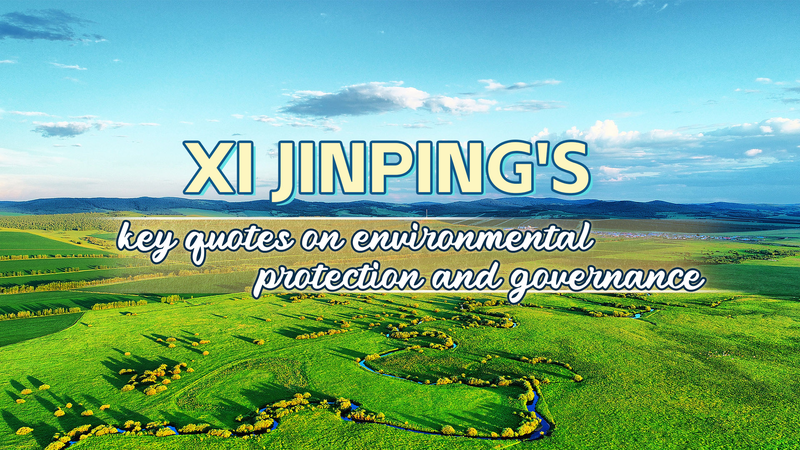 President_Xi_s_Green_Vision_Sparks_Global_Climate_Action - Namaste Headlines President_Xi_s_Green_Vision_Sparks_Global_Climate_Action