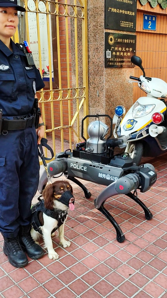 Real vs. Robotic: Police Pup Meets High-Tech Patroller on Gaokao Day! Real_vs__Robotic__Police_Pup_Meets_High_Tech_Patroller_on_Gaokao_Day_ video poster