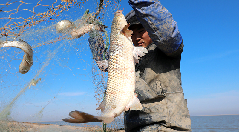 Sailing_into_the_Future__Tradition_Meets_Tech_at_Sea - Namaste Headlines Sailing_into_the_Future__Tradition_Meets_Tech_at_Sea