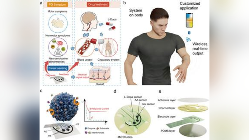 Innovative Band-Aid Sensor Detects Parkinson’s Early!