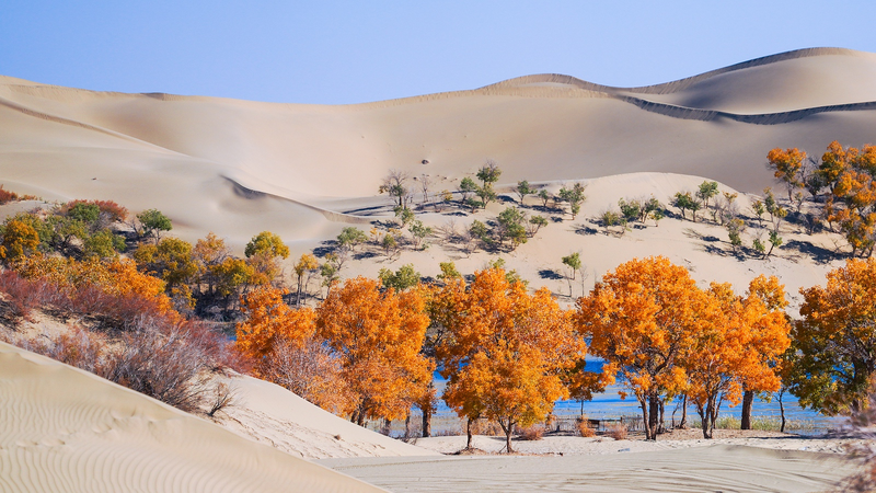 Turning_Deserts_into_Oases__China___Central_Asia_Unite