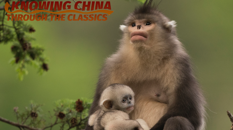 World_Environment_Day__A_Glimpse_of_Nature_s_Wonders - Namaste Headlines World_Environment_Day__A_Glimpse_of_Nature_s_Wonders