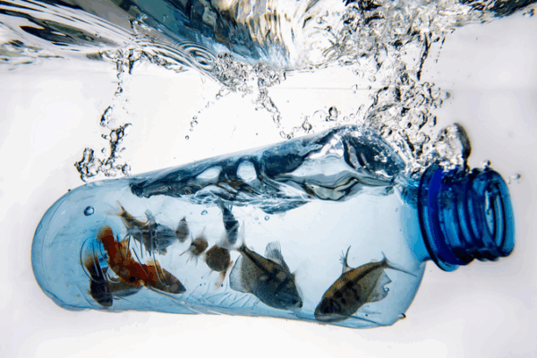 World Environment Day: China & Africa Beat Plastic Pollution World_Environment_Day__China___Africa_Beat_Plastic_Pollution